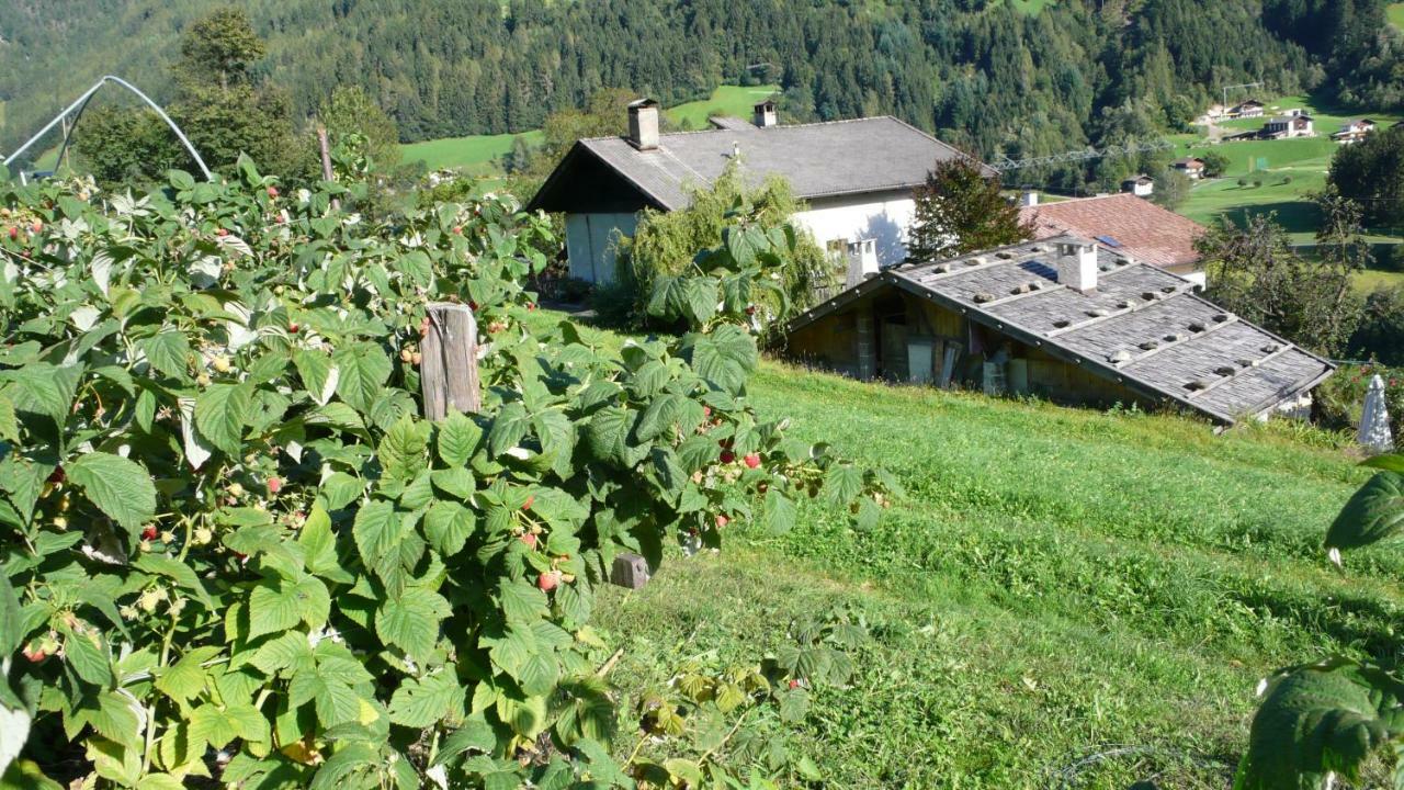 Obergereuth Hof 1288 Apartment San Martino In Passiria  Exterior foto
