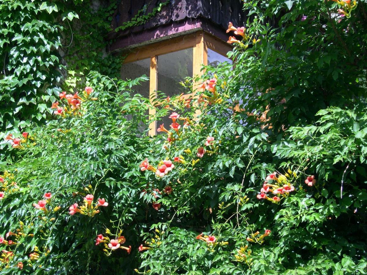Obergereuth Hof 1288 Apartment San Martino In Passiria  Exterior foto